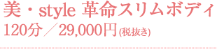 美・style 革命スリムボディ 120分／29,000円(税抜き)