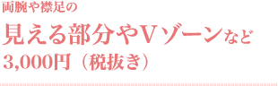 両腕や襟足の見える部分やＶゾーンなど／3,000円(税抜き)