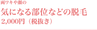 両ワキや顔の気になる部位などの脱毛／¥2,000円(税抜き)