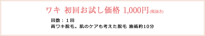 ワキ 初回お試し価格 1,000円(税抜き)