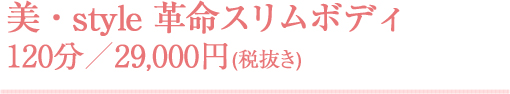 美・style 革命スリムボディ 120分／29,000円(税抜き)